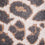 Mali Women's Leopard Alpaga & Wool Sweat