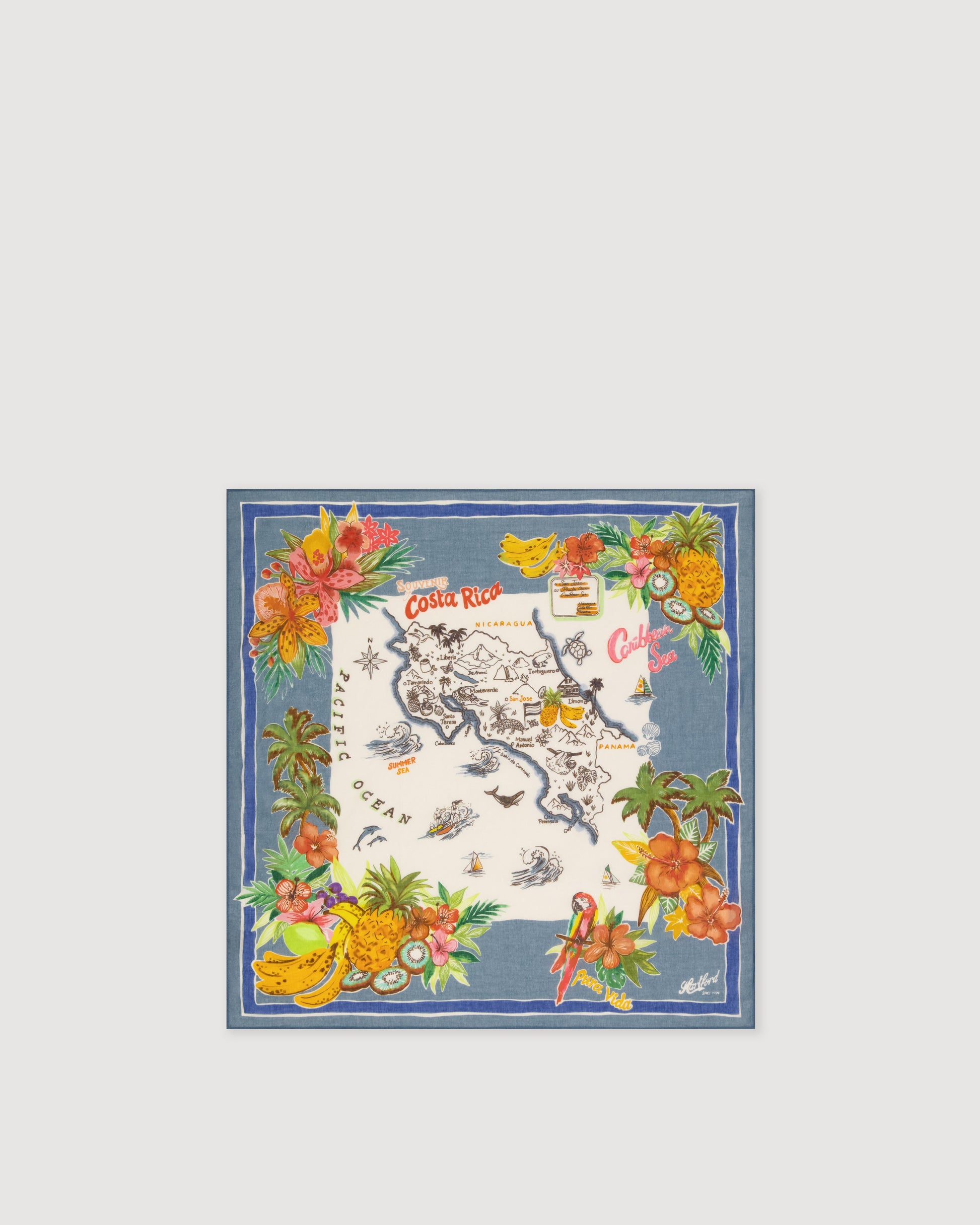 Bandana Homme en Coton Bleu Denim Bandana Costa Rica BFC4414-01