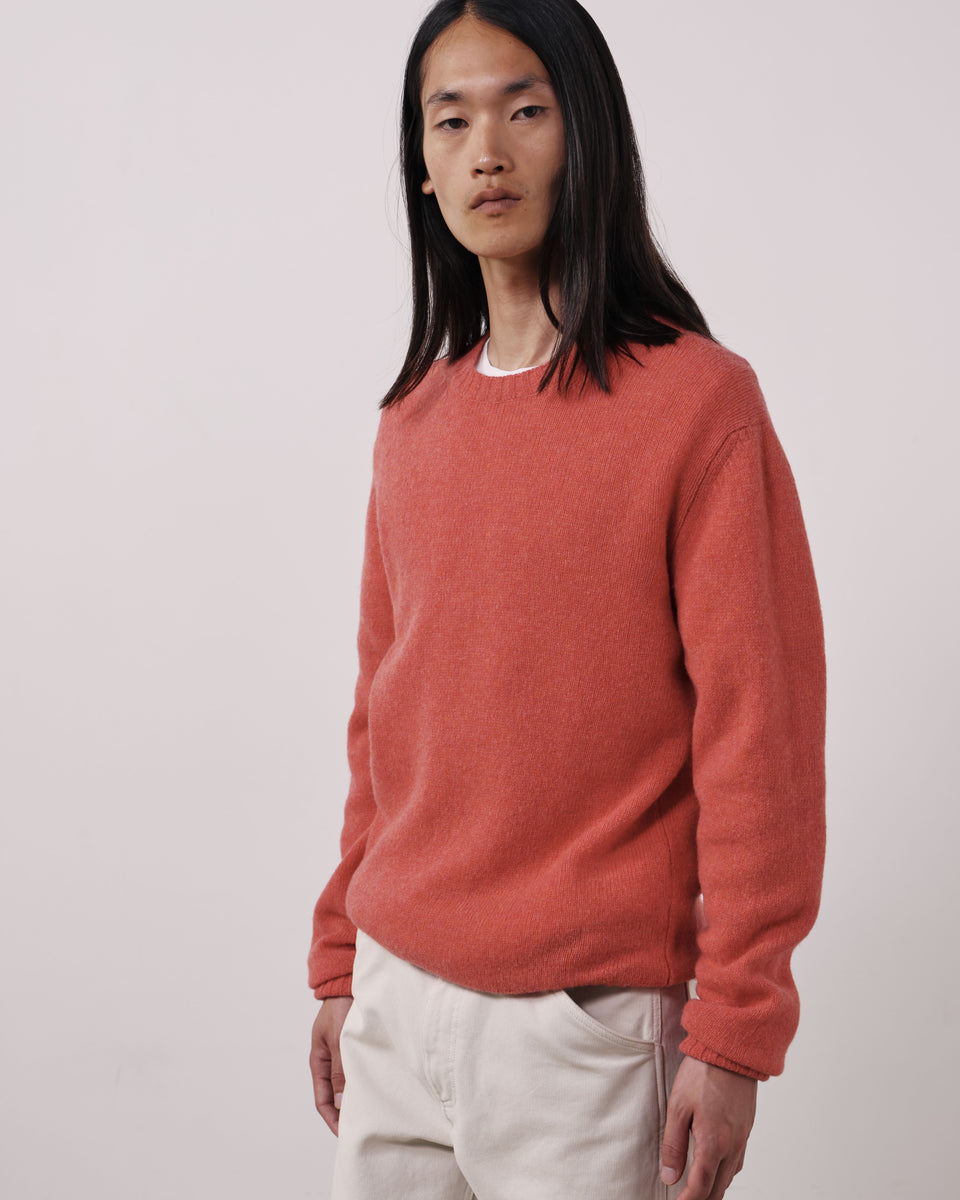 Pull Homme en Laine Vierge Corail Shetland Crew - Image 3