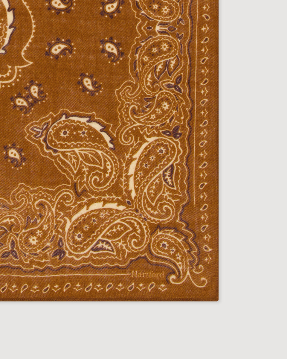 Echarpe Homme en Laine imprimée Paisley Marron Bandana - Image 3