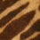 Damenschal aus Wolle mit Zebraprint in Kamel